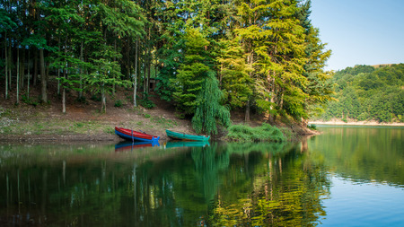 Old wood boats docked. Forest and boats reflecting on waterの写真素材
