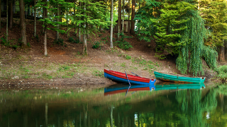 Old wood boats docked. Forest and boats reflecting on waterの写真素材