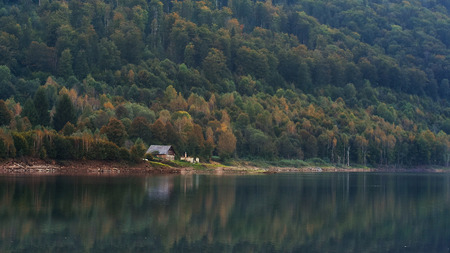Autumn scene, forest reflection in water in autumnの写真素材