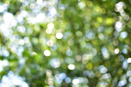 Out of focus background, bright bokeh