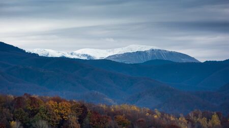 Autumn landscape scene with yellow forest and mountain in the background