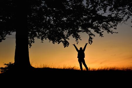Woman silhouette raising hands under a tree at sunset