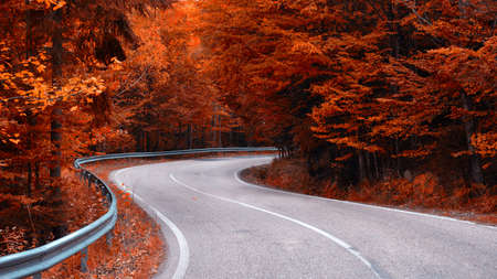 Winding asphalt road in autumn forest. Red filters applied for leaves