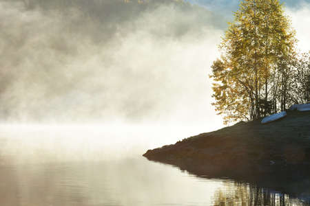 Fog covering the lake in autumn, forest reflection and sunlight over mistの写真素材