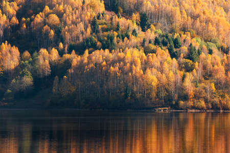 Beautiful autumn forest reflecting in lakeの写真素材