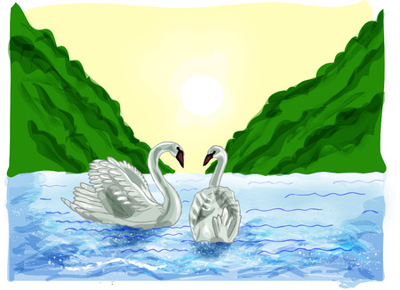 Swans are friendsのイラスト素材