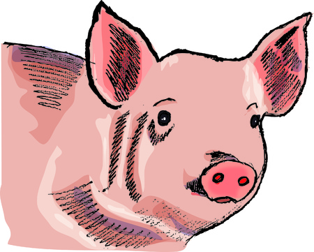 pigのイラスト素材