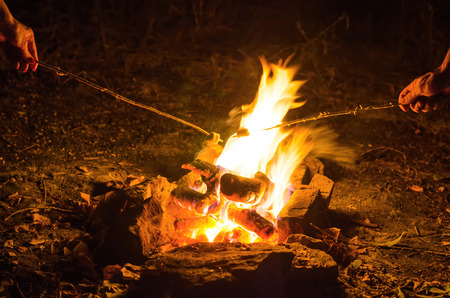 A couple is frying marshmallows on fire, a romantic background. Two hands hold marshmallows on sticks above the fire.の写真素材