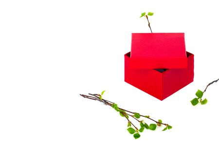 Red box with sprigs and green leaves on a white fonen view from the sideの写真素材