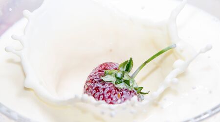 Strawberries in cream, closeup with dropsの写真素材