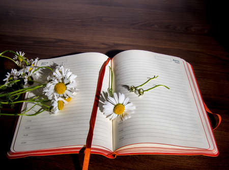 Daisies with a notebook lie on the tableの写真素材