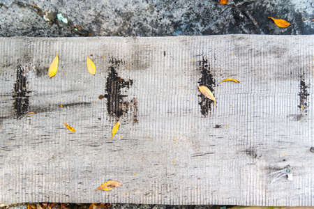 Background old board lies on the ground with foliage