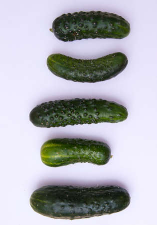 Young green cucumbers close up on white backgroundの写真素材