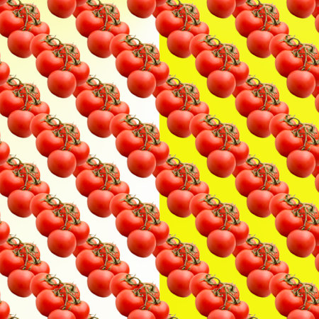 Tomatoes on a branch on a white-yellow gradient background, seamless pattern, flat layout, template, advertising, banner, top viewの写真素材