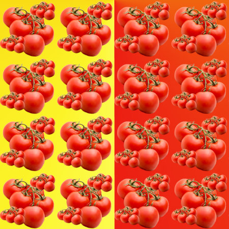 Tomatoes on a branch on a yellow-red gradient background, seamless pattern, flat layout, template, advertising, banner, top viewの写真素材