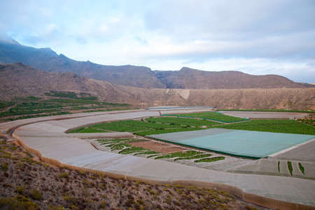 Plantation with greenhouses of banana trees, Tenerife, landscape