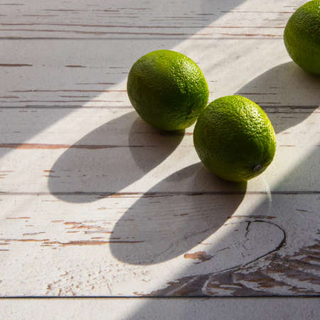 Lime green close-up, copy space, pattern, rough shadowsの写真素材
