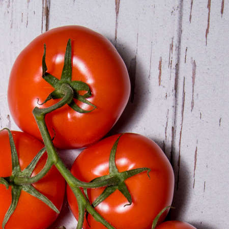Tomatoes on a branch close-up on a white table, copy space, template