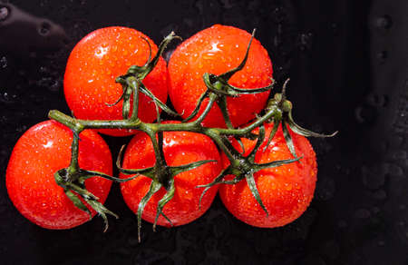 Tomatoes on a branch with water drops, black glass with water stains close-up, copy space, template,