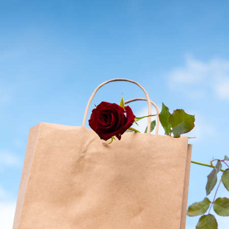 Red rose on a paper bag against a blue sky background, close-up, copy spaceの写真素材