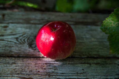 Red apples with water drops on an old table, close up, copy space, backgroundの写真素材