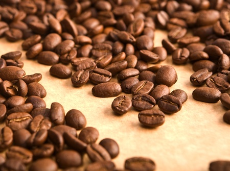 Background of coffee grainsの写真素材
