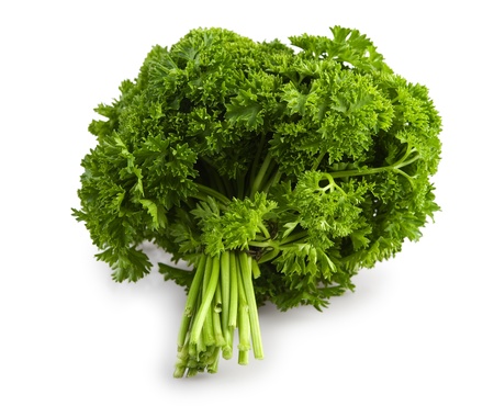 bunch of a parsley isolatedの写真素材