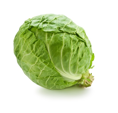 Cabbageの写真素材