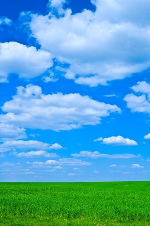 green grass and blue skyの写真素材