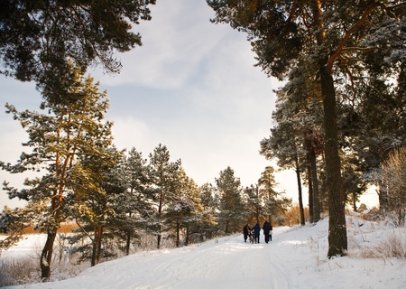 winter rural sceneの写真素材