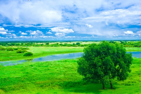 landscapeの写真素材