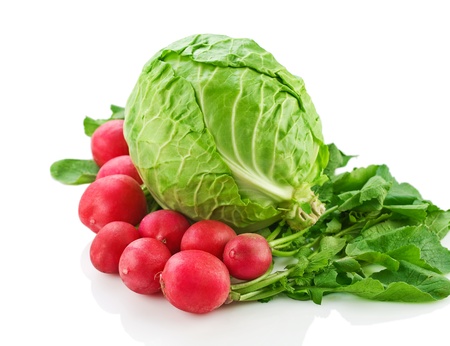 Cabbage and garden radishの写真素材