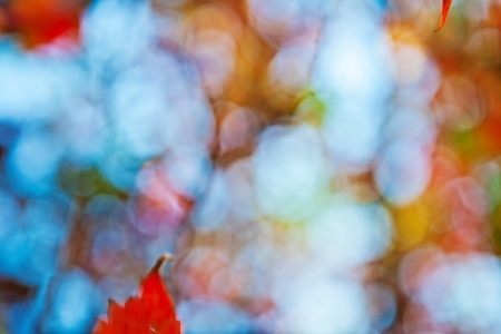 autumn leafy bokehの写真素材