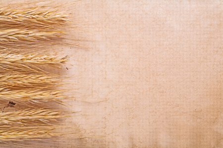 ears of wheat on vintage paper with copyspaceの写真素材