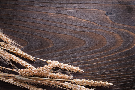 Copy space image of wheat rye ears on wooden vintage board food and drink concept.の写真素材