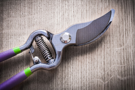 Sharp metal pruning shears on wooden board agriculture concept.