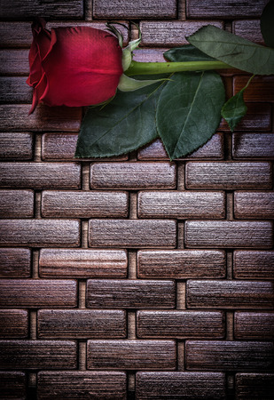 Red rose on wicker wooden matting copy space.の写真素材