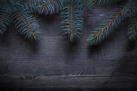 Fir-tree on wood board horizontal view holiday concept.