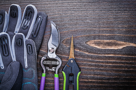 Working protective gloves clippers secateurs on wooden board.の写真素材