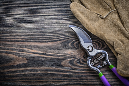 Leather protective gloves sharp pruning shears on wooden board gardening concept.の写真素材