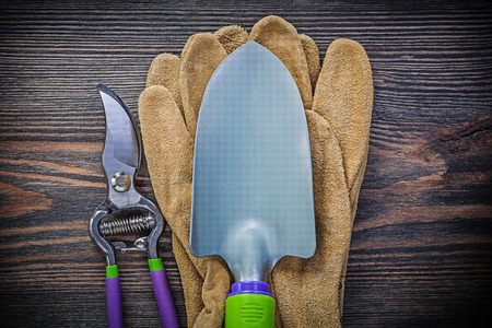 Hand spade secateurs safety gloves on wooden board agriculture concept.の写真素材