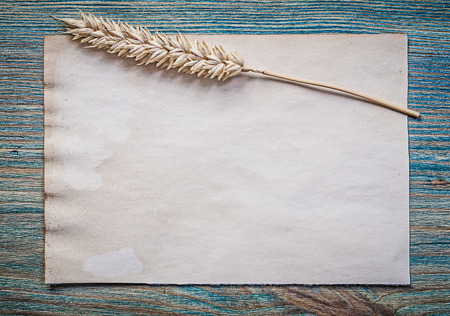 Wheat ear vintage sheet of paper on wooden board top view.の写真素材