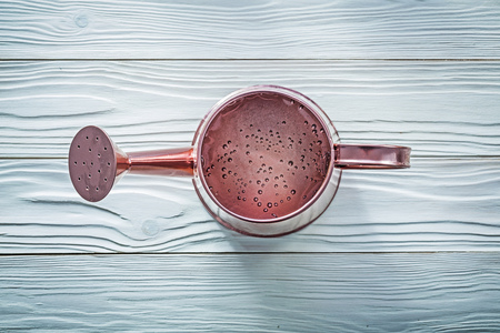 Vintage watering can on wooden board top view agriculture concept.の写真素材