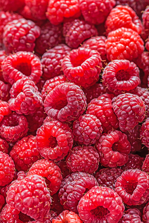 Red ripe raspberry