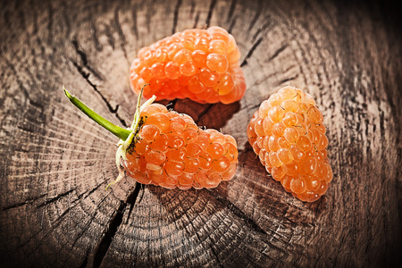 Red blackberries on vintage wooden background.の写真素材