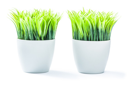 artificial plants plastic plants in white pots isolatedの写真素材