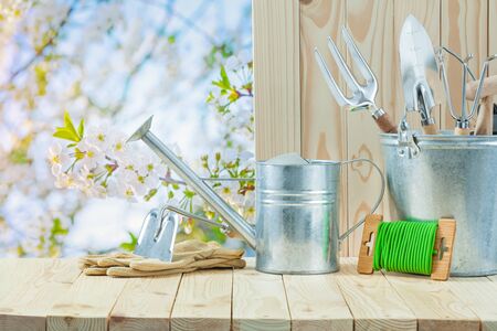garden articles on wooden table in gardenの写真素材