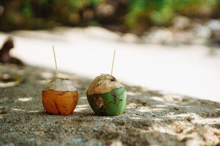 two coconuts with tubes on the beach under the sunの写真素材