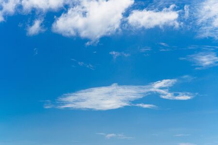 unique clouds in the shape of a whale in the skyの写真素材