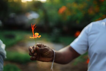 Dark-skinned man holds a beautiful flower in his handの写真素材
